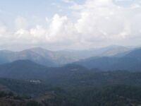 Пафос: Канавью, китайский поппер и басс на 1.165 кг