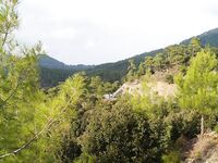 Пафос: Канавью, китайский поппер и басс на 1.165 кг