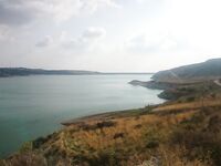 Пафос: Канавью, китайский поппер и басс на 1.165 кг