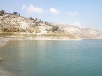 Пафос: Канавью, китайский поппер и басс на 1.165 кг