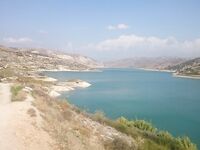 Пафос: Канавью, китайский поппер и басс на 1.165 кг