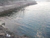 Пафос: Канавью, китайский поппер и басс на 1.165 кг