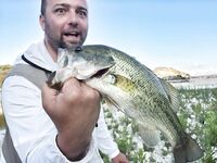 Пафос: Эврету, вэки и первый басс почти на кило