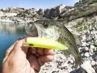 Пафос: Эврету, вэки и первый басс почти на кило