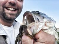 Пафос: Эврету, вэки и первый басс почти на кило