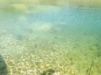 Пафос: Эврету, вэки и первый басс почти на кило