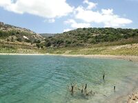 Пафос: Эврету, вэки и первый басс почти на кило