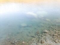 Пафос: Эврету, вэки и первый басс почти на кило