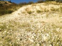 Пафос: Эврету, вэки и первый басс почти на кило