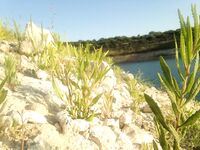 Пафос: Эврету, вэки и первый басс почти на кило