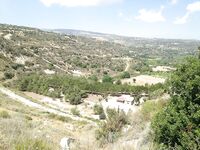 Пафос: Эврету, вэки и первый басс почти на кило