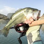 Пафос: Magsquad, спиннербейт и второй бассовый заход