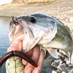 Пафос: Magsquad, спиннербейт и второй бассовый заход