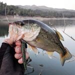 Пафос: Magsquad, спиннербейт и второй бассовый заход