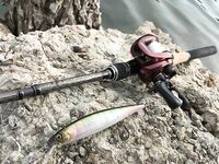 Пафос: Magsquad, спиннербейт и второй бассовый заход