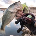 Пафос: Magsquad, спиннербейт и второй бассовый заход