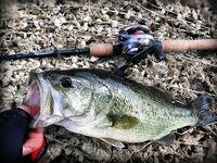 Кипр: ходовой день по дамбе и один нормальный басс