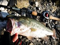 Кипр: ходовой день по дамбе и один нормальный басс