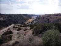 Кипр: ходовой день по дамбе и один нормальный басс