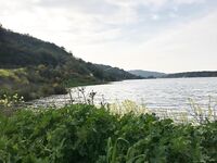 Кипр: ходовой берег, вэки и несколько бассов у кромки