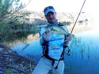 Кипр: тихая вода и несколько вечерних бассов