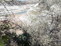 Кипр: Аспрокреммос, сломанное кольцо и первый басс на спиннербейте