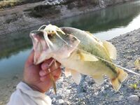 Кипр: крутой спуск, прозрачная вода и басс на воблер