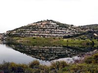 Кипр весной: спиннербейт и несколько нормальных бассов