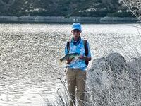 Кипр: семейный день по бассу без пустой постановки