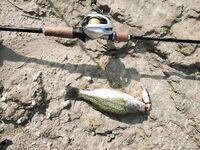 Кипр: один хороший береговой выход по бассу