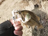 Кипр: один хороший береговой выход по бассу