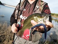 Кипр: один хороший береговой выход по бассу