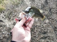 Кипр: один хороший береговой выход по бассу