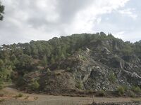 Кипр: один хороший береговой выход по бассу