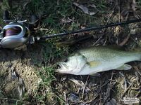 Кипр: Ларнака, Ахна и первое знакомство с островной рыбалкой