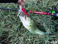 Кипр: Ларнака, Ахна и первое знакомство с островной рыбалкой