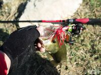 Кипр: Ларнака, Ахна и первое знакомство с островной рыбалкой