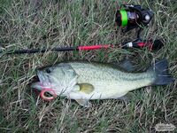 Кипр: Ларнака, Ахна и первое знакомство с островной рыбалкой