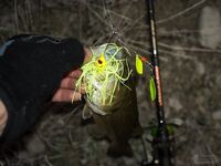 Кипр: Ларнака, Ахна и первое знакомство с островной рыбалкой