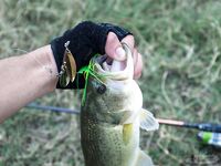 Кипр: Ларнака, Ахна и первое знакомство с островной рыбалкой