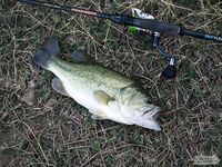 Кипр: Ларнака, Ахна и первое знакомство с островной рыбалкой