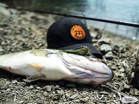 Кипр: прозрачная вода, воблер и нормальный рабочий басс