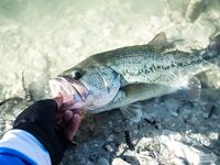 Кипр: прозрачная вода, воблер и нормальный рабочий басс