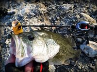 Кипр: 115 бассов за 13 дней и трудовый маршрут по дамбам