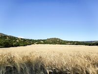 Кипр: 115 бассов за 13 дней и трудовый маршрут по дамбам