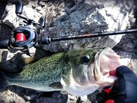 Кипр: 115 бассов за 13 дней и трудовый маршрут по дамбам