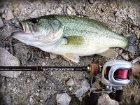 Кипр: 115 бассов за 13 дней и трудовый маршрут по дамбам