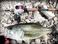 Кипр: 115 бассов за 13 дней и трудовый маршрут по дамбам