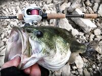 Кипр: 115 бассов за 13 дней и трудовый маршрут по дамбам