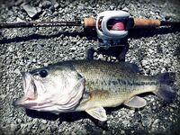 Кипр: 115 бассов за 13 дней и трудовый маршрут по дамбам